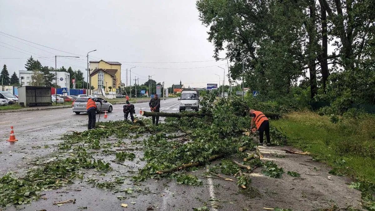 Негода накоїла лиха на Львівщині: скільки населених пунктів нині знеструмлено