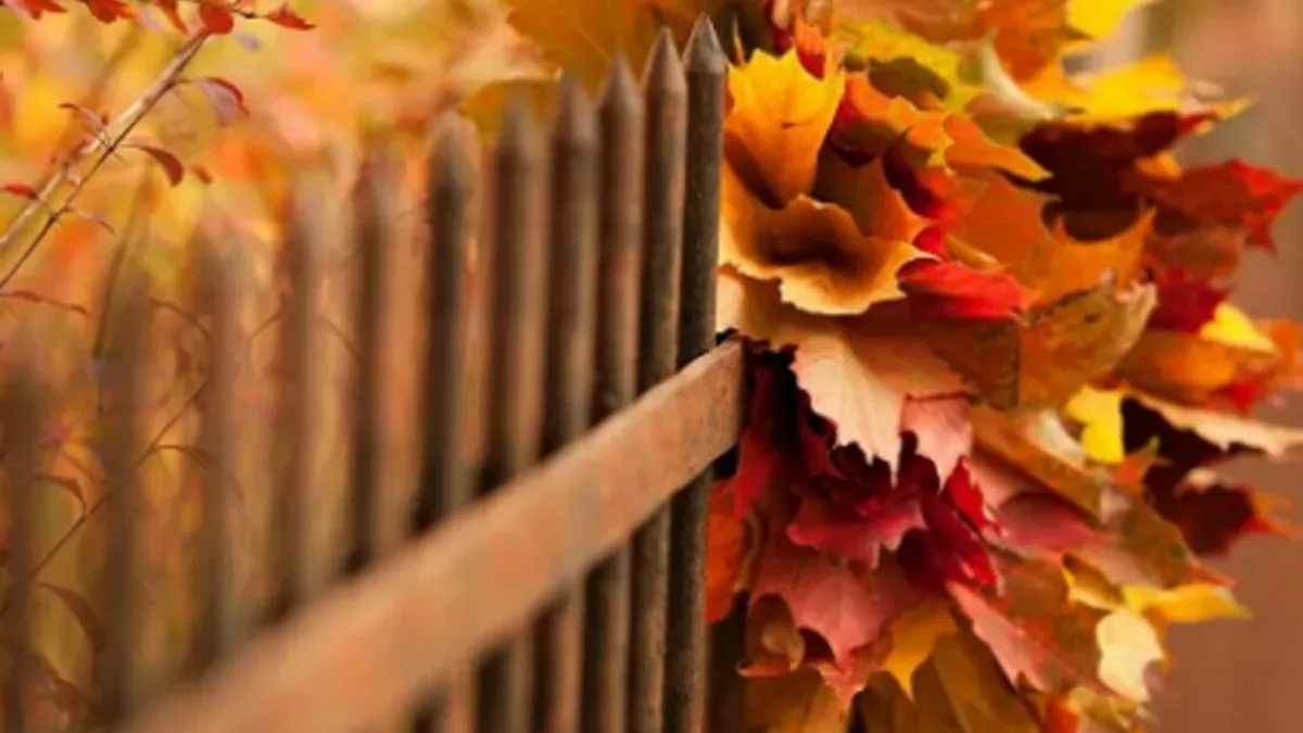 Яка погода завтра, 5 листопада: в деяких областях буде тепло, а істотних опадів не очікується