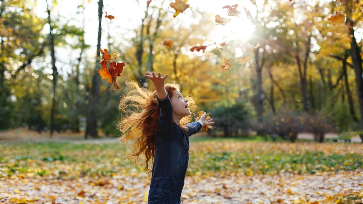 Яка погода завтра, 26 листопада: у середу на українців очікує тепло та сильний вітер