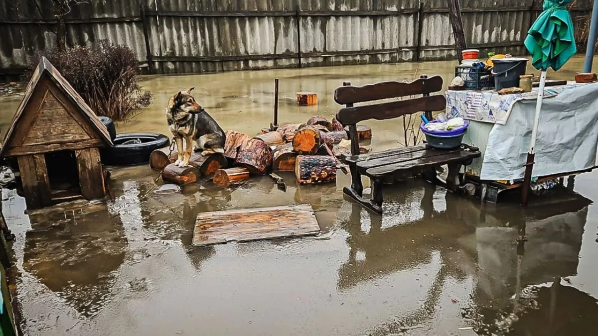 Майже 20 громад на Харківщині потерпають від підтоплень: в ОВА оприлюднили статистику