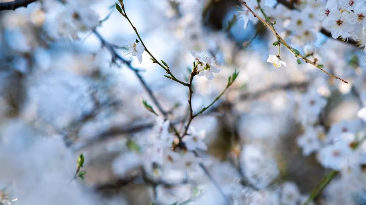 В Україну йде похолодання: яка погода буде завтра, 14 березня
