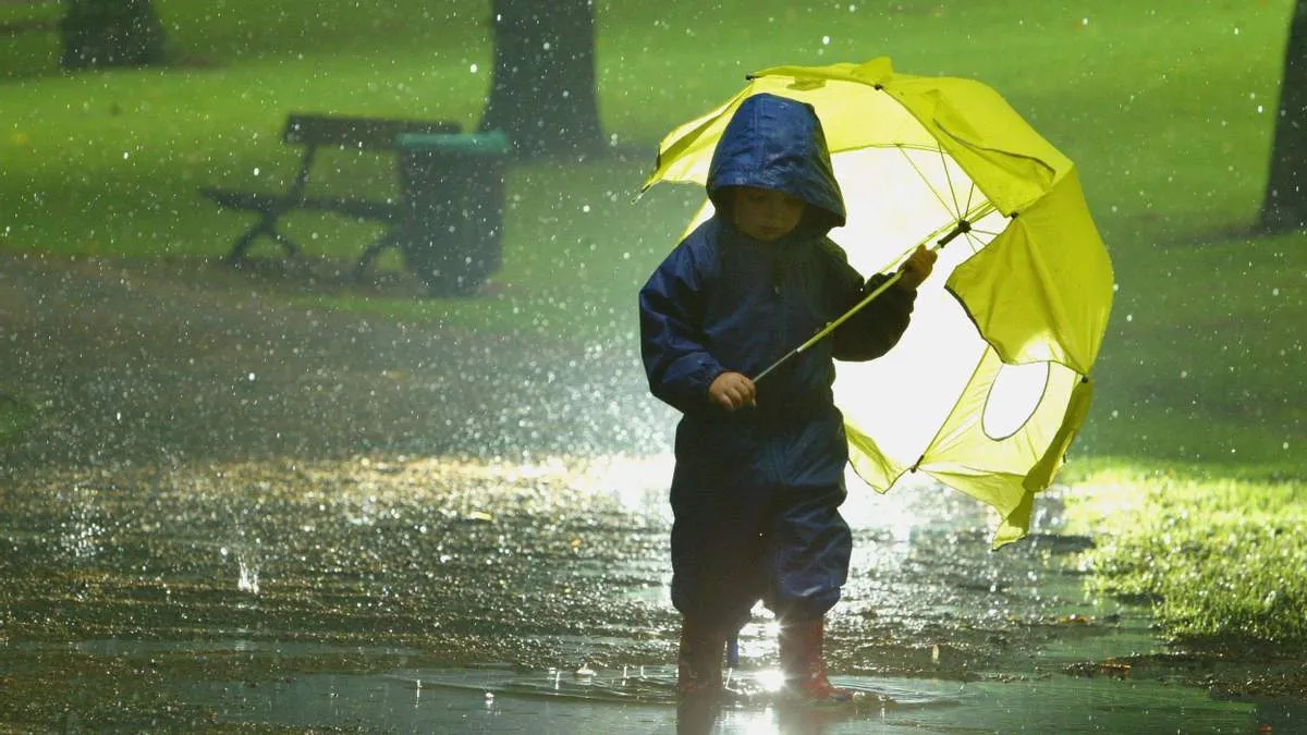 Яка погода завтра, 16 листопада: в Україні відбудеться різка зміна температури – після теплої суботи похолодає