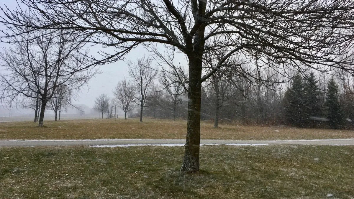 Яка погода завтра, 19 грудня: в Україні синоптична ситуація не зазнає змін – антициклон опадам не сприятиме