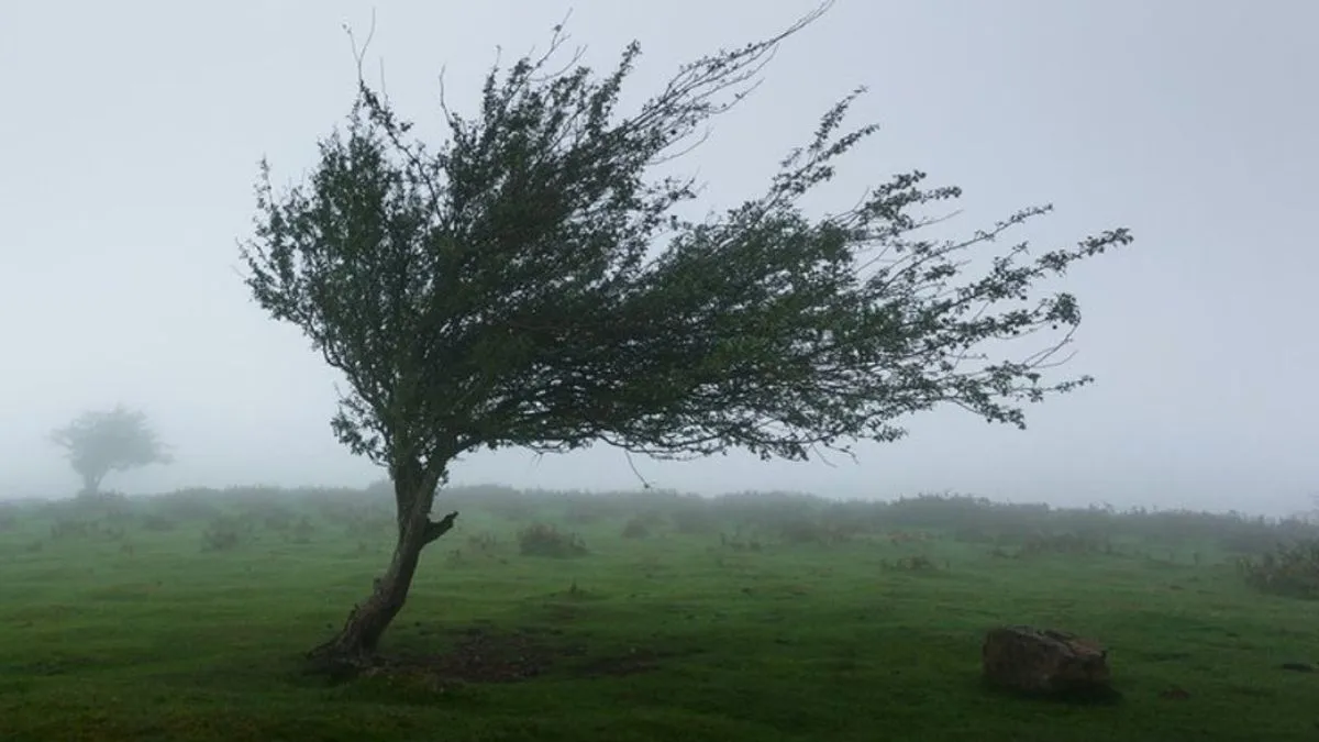 Яка погода завтра, 24 квітня: в Україні утримається холодна погода, у східних областях з дощами й мокрим снігом