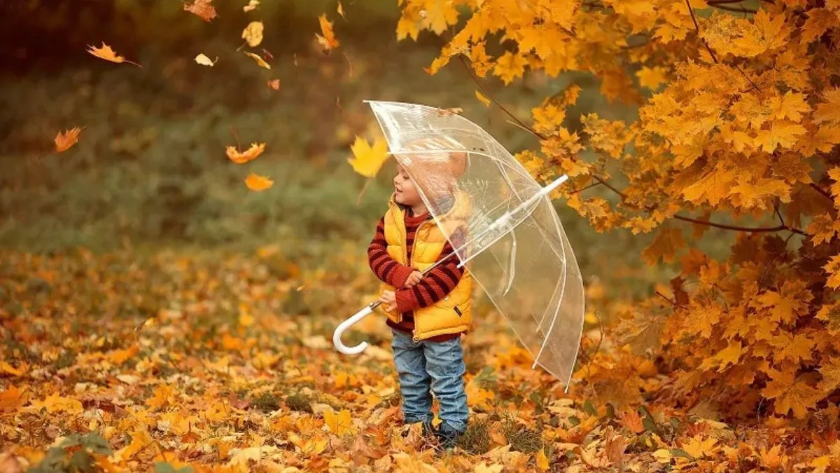 Яка погода завтра, 31 жовтня: фінальний акорд місяця буде мажорним – у більшості областей України без дощів