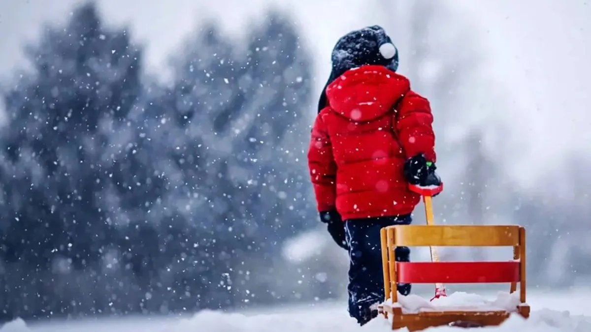 Яка погода завтра, 31 грудня: в останній день 2025 року на всій території України буде морозно та сніжно