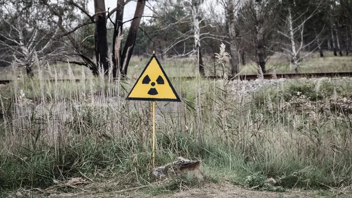 Грибок з Чорнобиля може захистити людей під час польотів у космос: чому вчені зацікавлені новим відкриттям