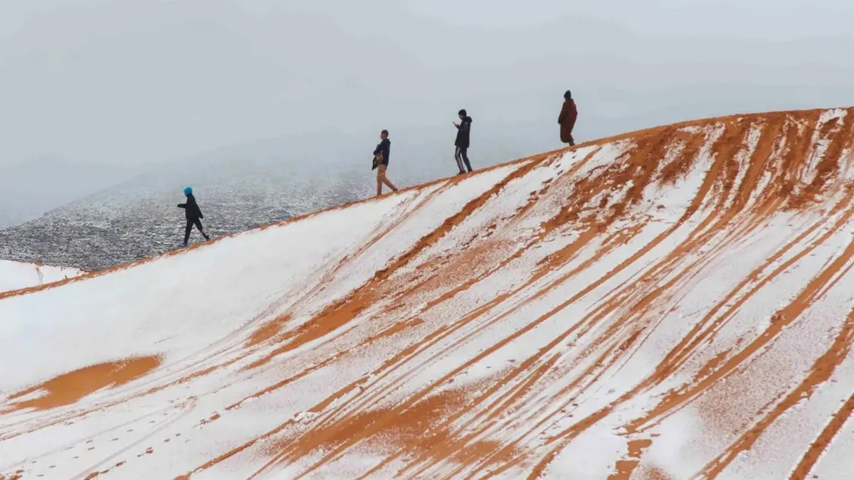 Шок у Сахарі: найбільшу у світі спекотну пустелю неочікувано засипало снігом – фото