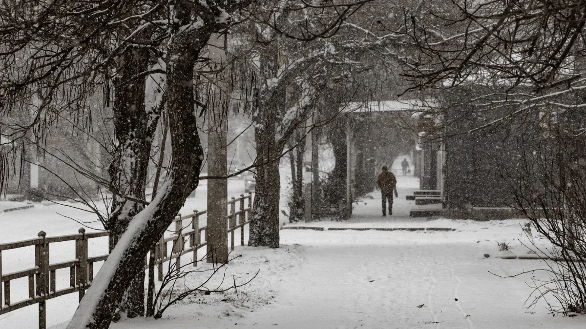 Яка погода завтра, 11 січня: мороз нікуди не подінеться, в окремих областях очікується сніг