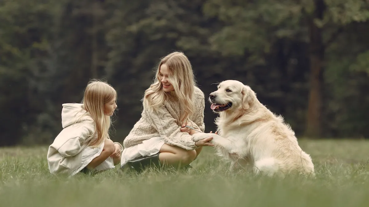 Топ-5 порід собак, які стануть найкращим вибором для родини: експертка дала важливі поради