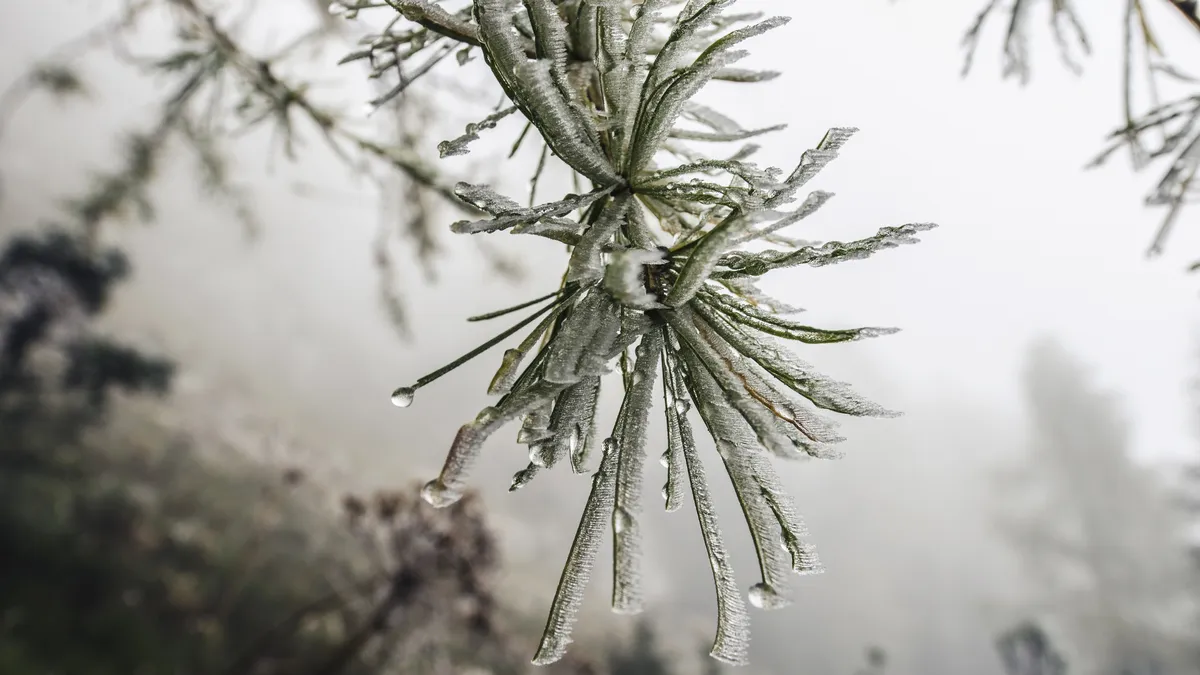 Яка погода в Україні завтра, 12 лютого: синоптик назвав регіони, у яких потепліє до +9 °С