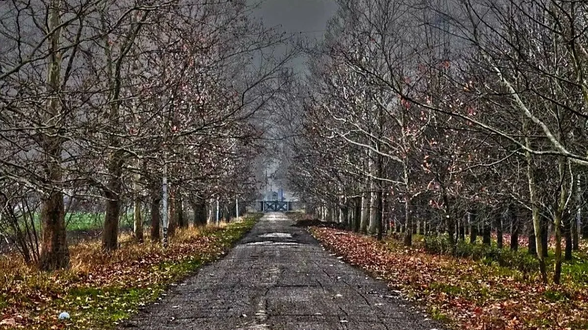 Яка погода завтра, 5 грудня: висока температура та відсутність опадів збережуться, але подекуди буде вітряно