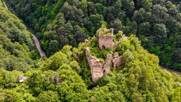 Карпатський замок із роману Жюля Верна після сотень років відкрили для туристів: там привиди і виколоті святі