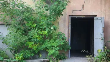 «‎40 років я задавався питанням»: дослідник із Нової Зеландії наважився відчинити загадкові двері в скелі