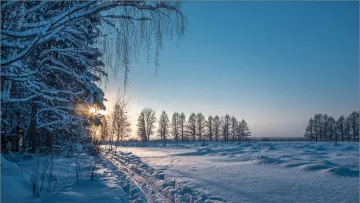 Яка погода завтра, 16 січня: морози не відступають, де очікувати опади