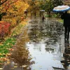 Яка погода завтра, 26 жовтня: у понеділок осінні дощі охоплять більшу частину території України 