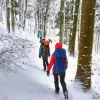 До уваги туристів у Карпатах – в горах температура впала до -4°C: звернення рятувальників ДСНС