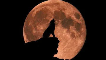 Секрет безсоння розкрито: учені назвали справжню причину, чому повний місяць псує сон