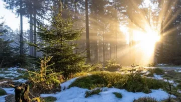 Яка погода завтра, 4 грудня: Україна потрапить у зону масштабного антициклону