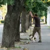 «Собака сам забіг в бус»: в Одесі перевіряють обставини травмування тварини після інциденту за участю ТЦК