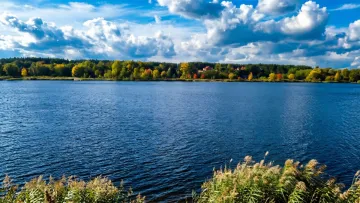 Найкращі озера Києва: де найчистіша вода та комфортний відпочинок