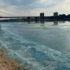 Чому Дніпро вкрився зеленню та піною: загроза для риби чи хімічне забруднення