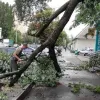 Харків накрило потужним штормом із грозою: частина міста залишилася без світла, є постраждалі – відео негоди