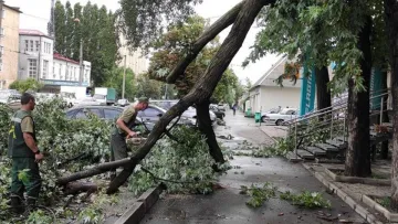 Харків накрило потужним штормом із грозою: частина міста залишилася без світла, є постраждалі – відео негоди