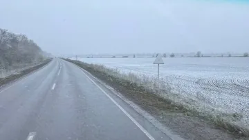 На весну не схоже: у декількох областях України 24 квітня знову випав сніг – фото