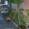 Скандал на Балі: туриста затримали в аеропорту через пристрасний секс на вулиці просто на камери