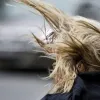 Яка погода завтра, 26 травня: синоптики попередили про сильний штормовий вітер