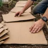 Не викидайте картон: топ-3 ефективні способи використання паперу в саду