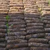 Ехо війни: у Львові на подвір'ї будинку знайшли понад 130 снарядів часів Другої світової - деталі від ДСНС