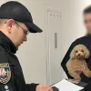 Кіберполіція України допомогла США викрити шахрайську схему на $1,5 млн: жертвою стала комісія з азартних ігор