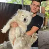 «Ми знайшли песика!»: Нова пошта повідомила, що надалі чекає на собаку, якого намагалися вигнати з відділення