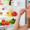 Як правильно зберігати продукти під час тривалих відключень світла: рекомендації від фахівців МОЗ України