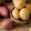 Картопля білого, жовтого, червоного кольору — яка смачніша, корисніша та довше зберігається?