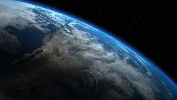Вчені назвали термін існування рослин на Землі: коли планета може втратити всю рослинність