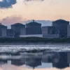 Медузи атакують: морські безхребетні тварини зупинили атомну електростанцію у Франції