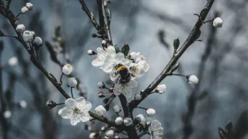 Яка погода завтра, 26 березня: синоптикиня Діденко попередила про похолодання найближчим часом 