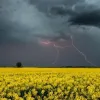 Яка погода завтра, 25 червня: синоптики спрогнозували, чи варто українцям чекати прохолоди
