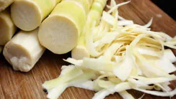 Бамбук називають новим «суперфудом»: у чому користь і які ризики їжі панд для людей