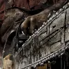 Вбив бензопилою доньку і спалив її тіло: деталі моторошної трагедії в Індії через оцінки у табелі