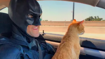 Бетмен змусив жінку з Йорданії подати в суд на розлучення: що накоїла людина-кажан