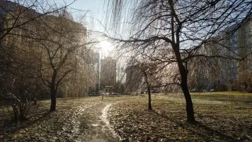 Яка погода завтра, 8 грудня: новий тиждень розпочнеться для українців опадами у деяких регіонах