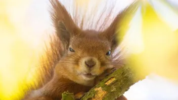 Яка погода завтра, 23 березня: на всій території України буде сухо, тепло й переважно ясно