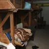 У Франківську безхатьки захопили укриття: вони погрожують людям, які до нього наближаються – є фото