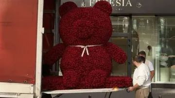 Рекордний букет продали у Києві за понад пів мільйона гривень: у мережі згадали про дрони та тепловізори 
