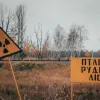 Мутації в Чорнобилі: як природа адаптувалася до радіації та які унікальні види там з'явилися