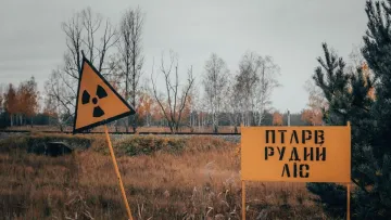 У Зоні відчуження можуть поновити сільськогосподарську діяльність: чи будуть орати поля біля Прип'яті